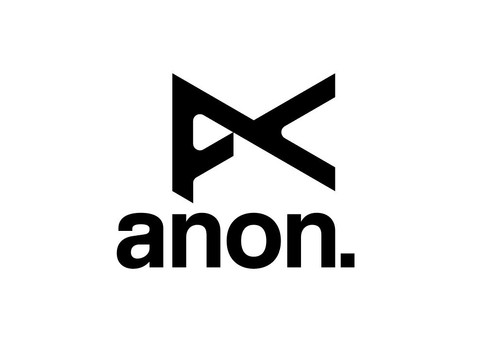 Burton anon decal pack - decal, [2